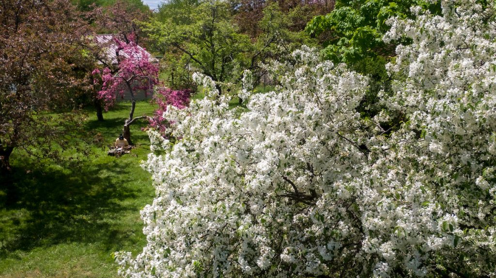 Self-guided walking tours A photo of students painting in Littlefield Garden