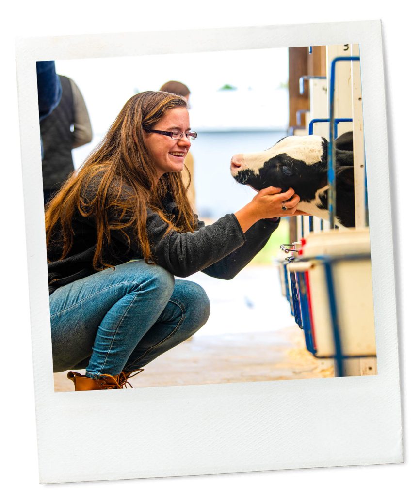 A photo of a woman reaching out to a cow calf at Witter Farm