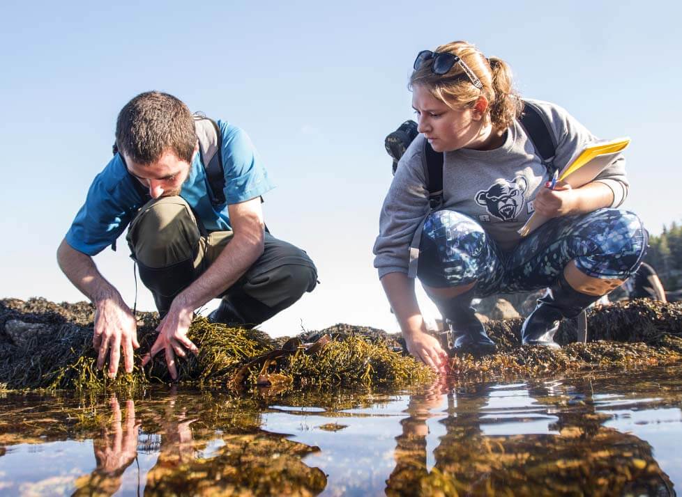 A photo of two people standing next to a tidal pool