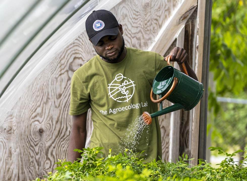 A photo of a person using a watering can to water plants in a greenhouse