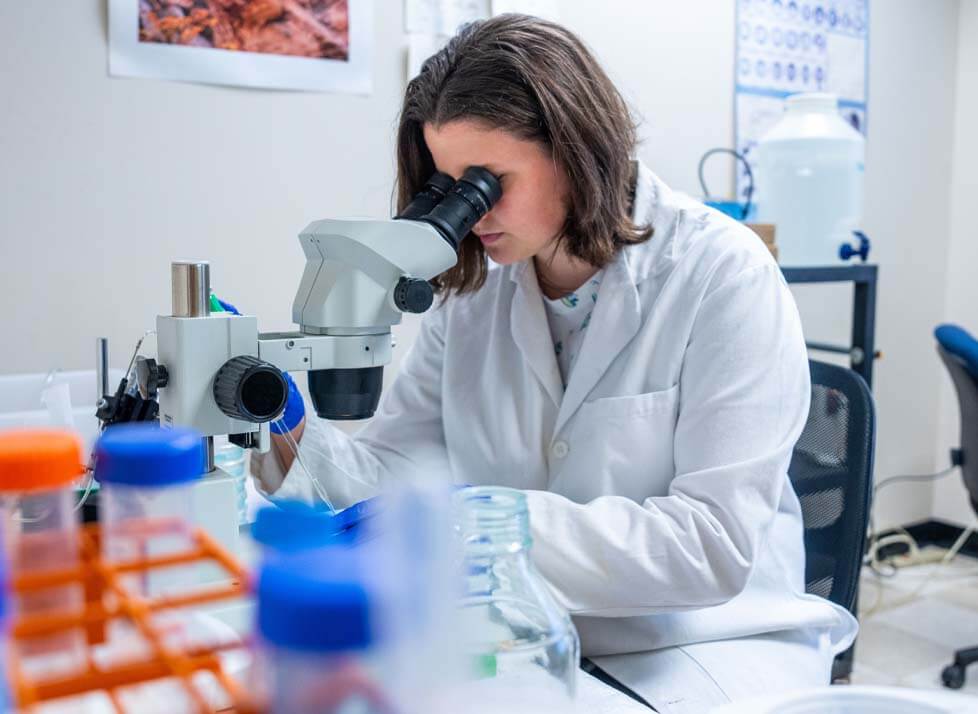 A photo of a person looking into a microscope