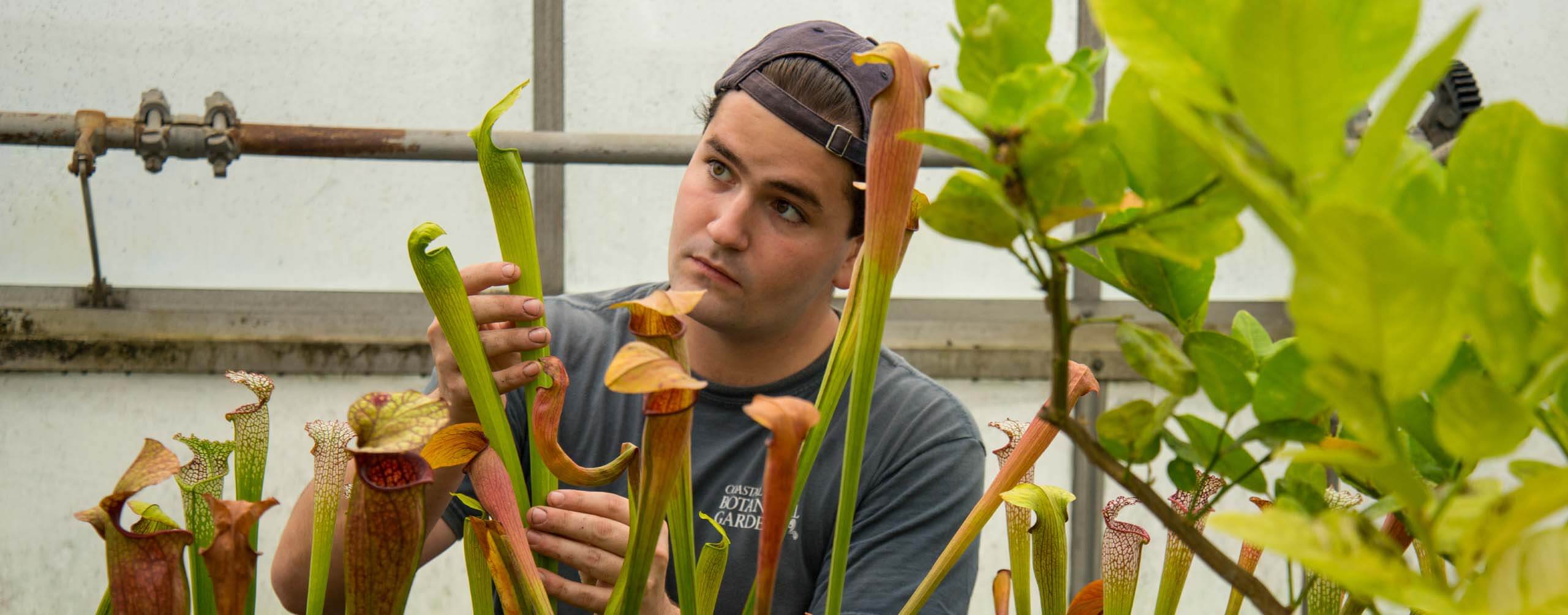 A photo of a student working in a greenhouse