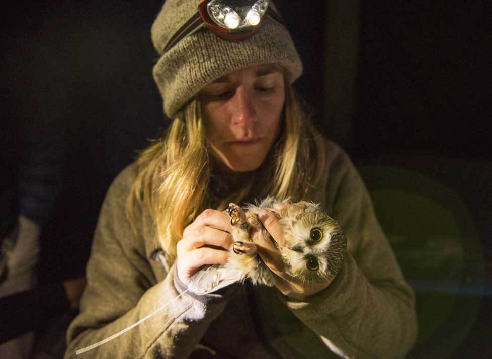 A photo of a woman holding a small owl at night