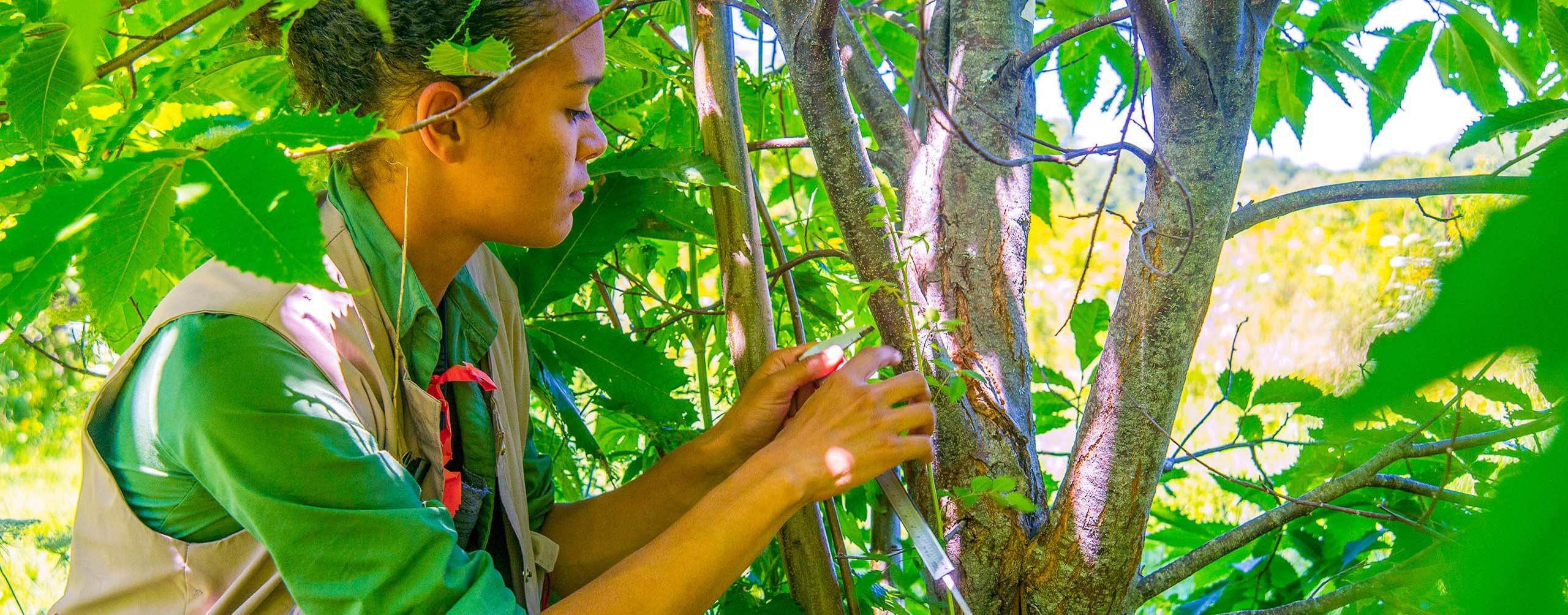 A photo of a student in the forest