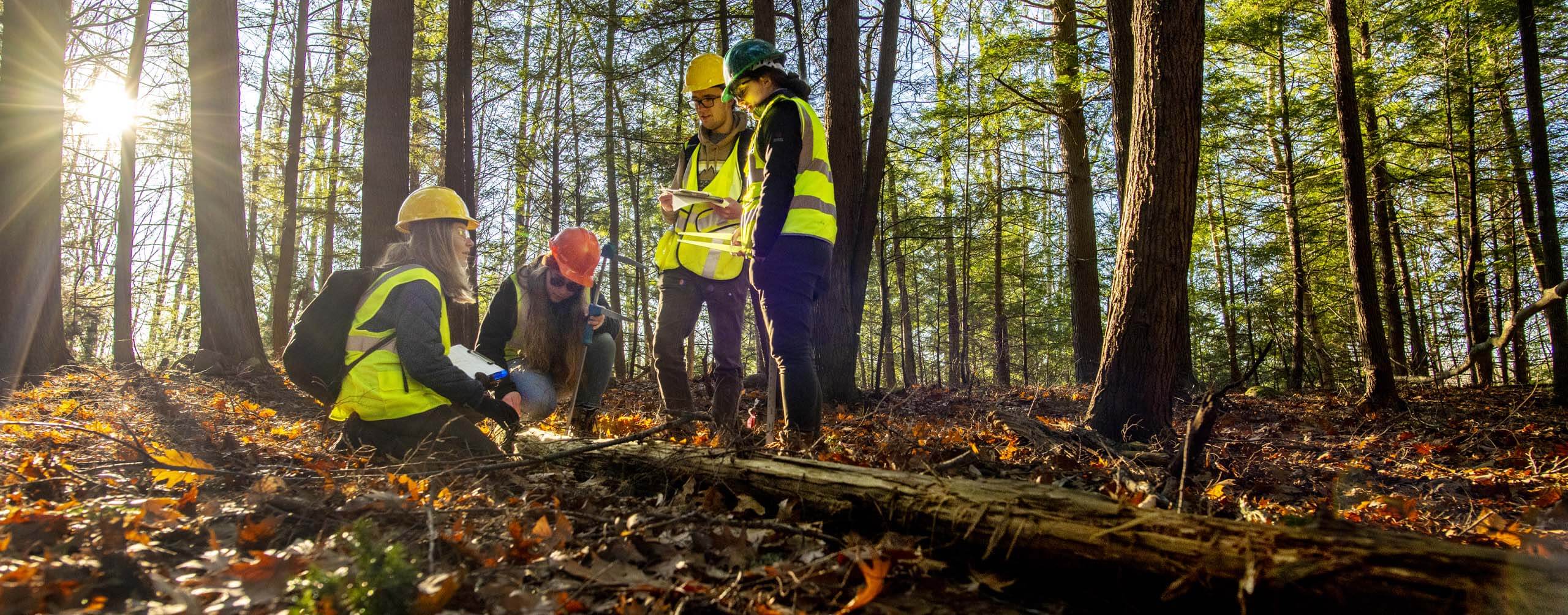 A photo of students in the forest