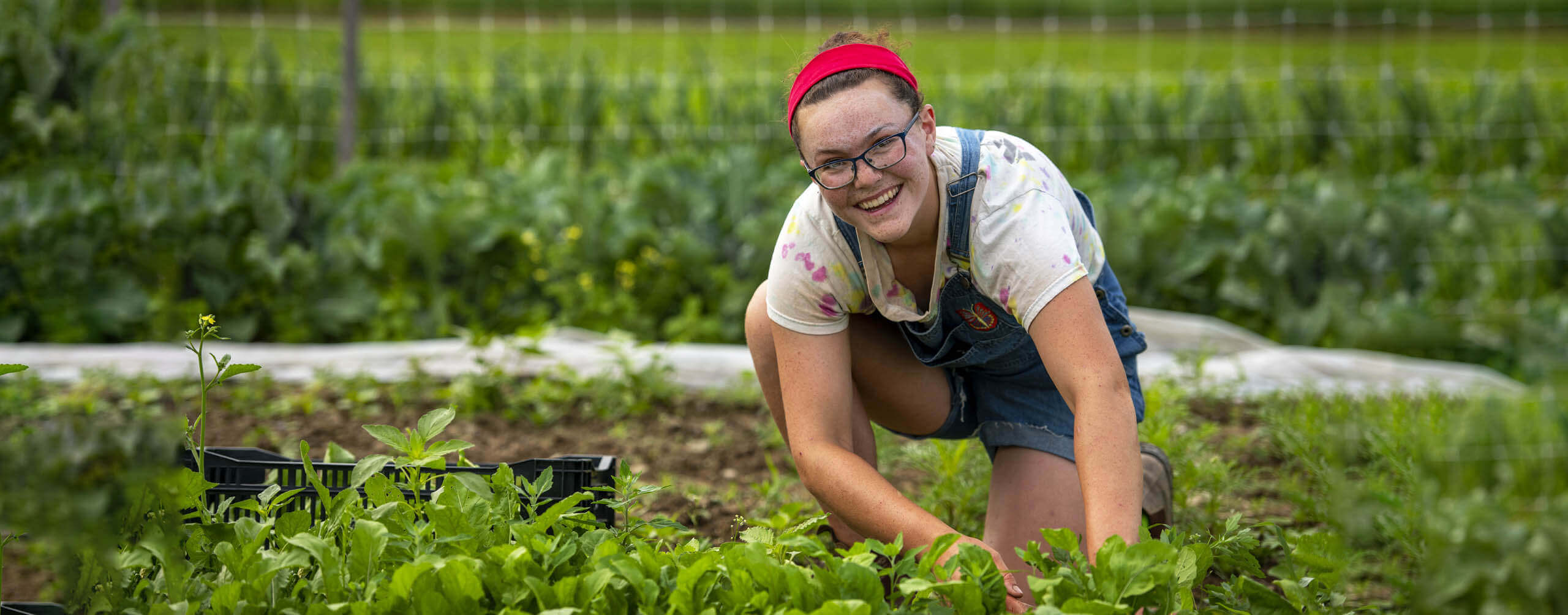 A photo of a person in a garden