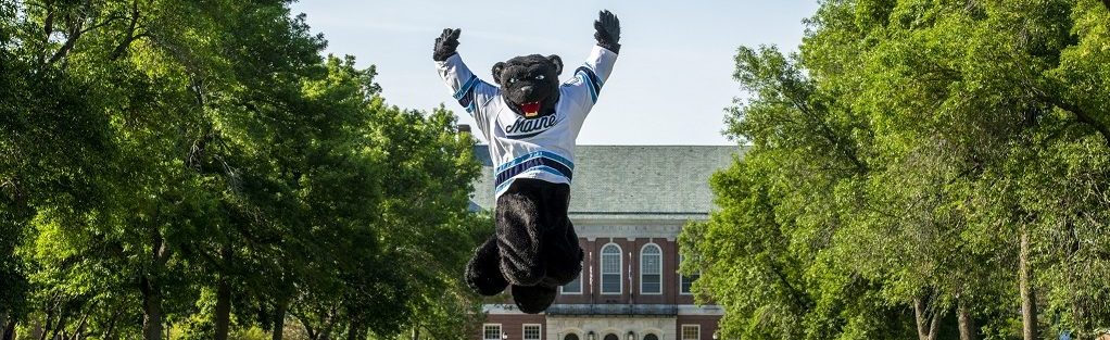 A photo of Bananas T. Bear jumping